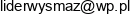 Lider Tomasz Pietka Email address