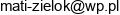 Ankieter Mateusz Zielinski Email address