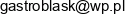 Dariusz Bielec Gastro Blask Email address