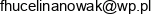 Celina Nowak F H U Nowak Adres e-mail