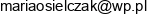 Pracownia Konserwacji Zabytkow Email address