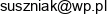 Play Retro Kazimierz Suszniak Email address