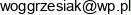 Wsparcie I Ochrona Agata Grzesiak Email address