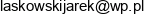 Globalcatdue Jaroslaw Laskowski Adres e-mail