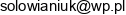 It Analytics Piotr Solowianiuk Email address