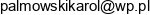 Karol Hurt Karol Palmowski Adres e-mail