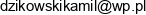 Kamil Dzikowski Adres e-mail