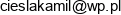 Finanse I Ubezpieczenia Kamil Ciesla Email address