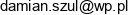 Dm Konstruction Damian Szul Email address