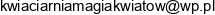Przedsiebiorstwo Wielobranzowe Agata Kiwior Email address