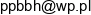 Pracownia Projektow Budowlanych Brazkiewicz Herman Email 1