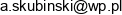 Andrzej Skubinski A S Tech Andrzej Skubinski Adres e-mail