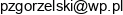 Pawel Zgorzelski Email address
