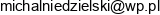 Przedsiebiorstwo Handlowo Produkcyjno Uslugowe Niedzielski Niedzielski Michal Email address