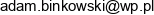 Adam Binkowski Masters Consulting Email address