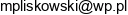 Mt Trans Miroslaw Pliskowski Email address Mt Trans Miroslaw Pliskowski Email address