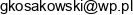 Grzegorz Kosakowski Email address