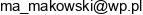 Mm Business Advisory Mariusz Makowski Adres e-mail