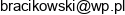 Przedsiebiorstwo Wielobranzowe Ga Ma Miusic Maciej Bracikowski Email address