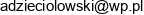 Andrzej Dzieciolowski Email address