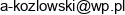 Draft Uslugi Projektowe Andrzej Kozlowski Email address