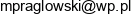 Reh Mika Gabinet Terapii Manualnej Mikolaj Praglowski Email address