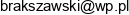 Bartlomiej Rakszawski Go Media Email address
