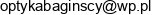 Baginscy Email address