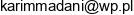 Trill Consulting Karim Madani Email address