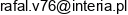 Technical Business Consulting Rafal Vook Email address