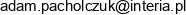 Aerpe Consulting Adam Pacholczuk Email address