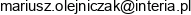Development Services Mariusz Olejniczak Email address