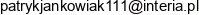 Uslugi Spawalnicze Patryk Jankowiak Email address