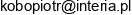 Ko Bo Piotr Koczan Email address