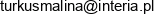 Firma Handlowo Uslugowa Turkus Malina Elzbieta Spychalska Email address