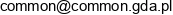 Common Electronics Adres e-mail