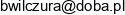 Doba Pl Portale Lokalne T Kuriata P Wasinski T Ziembicki Email 1