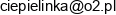 Przedsiebiorstwo Handlowo Uslugowe Damian Mirowicz Email address