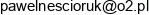 Pawel Nescioruk Fitfan Adres e-mail