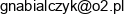 Prywatny Gabinet Neurologiczny Grzegorz Nabialczyk Email address