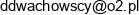 Dominik Wachowski Adres e-mail