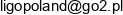 Ligo Poland Igor Skorczynski Email address