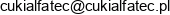Alfatec Pro Email 1