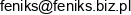 Feniks Email 1