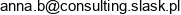 Biuro Uslug Finansowo Ksiegowych Consulting Aa Nazwa Skrocona B U F K Consulting Aa Anna Bochenek Adres e-mail