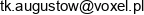 Voxel Email 1