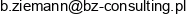 Bz Consulting Group Adres e-mail