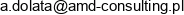 Amd Consulting Angelika Dolata Email address