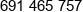 Data System Phone 1
