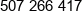 Coolquality Pl Phone 1